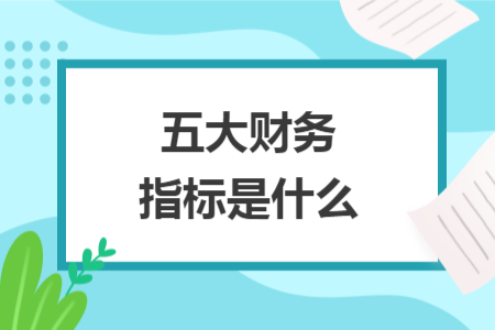 五大財務指標是什么