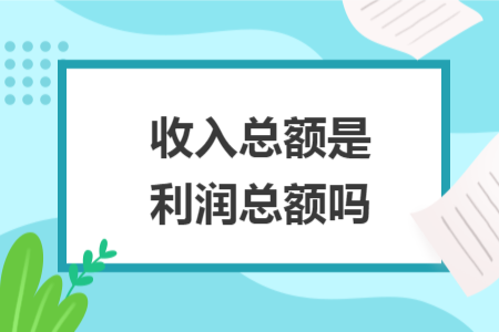 收入總額是利潤總額嗎