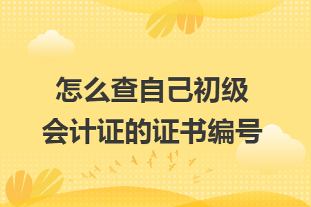 怎么查自己初級會計證的證書編號