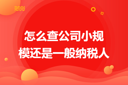 怎么查公司小規(guī)模還是一般納稅人