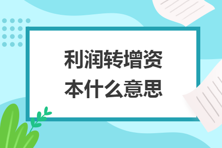 利潤(rùn)轉(zhuǎn)增資本什么意思