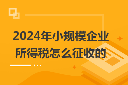 2024年小規(guī)模企業(yè)所得稅怎么征收的