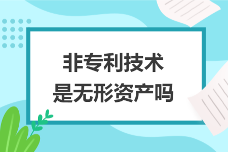 非專利技術(shù)是無形資產(chǎn)嗎