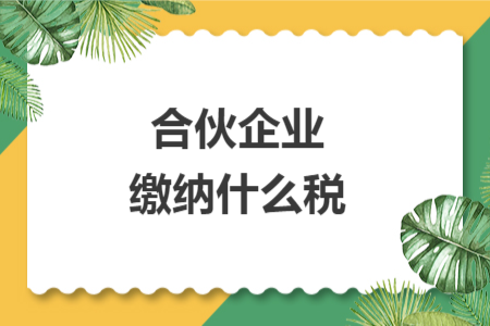 合伙企業(yè)繳納什么稅