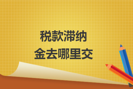 稅款滯納金去哪里交