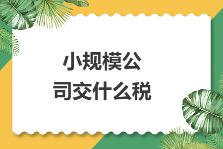 小規(guī)模公司交什么稅