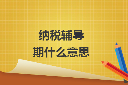 納稅輔導期什么意思