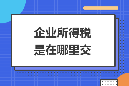 企業(yè)所得稅是在哪里交