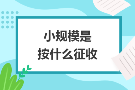 小規(guī)模是按什么征收