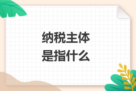 納稅主體是指什么