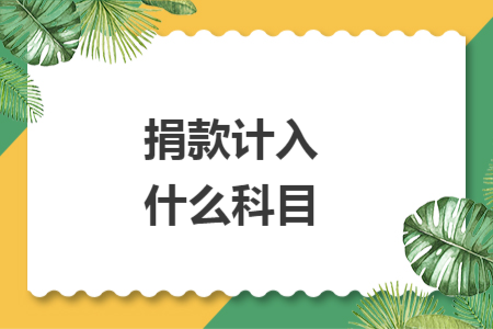 捐款計(jì)入什么科目