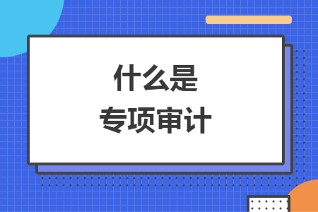 什么是專項(xiàng)審計