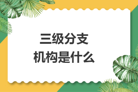 三級(jí)分支機(jī)構(gòu)是什么