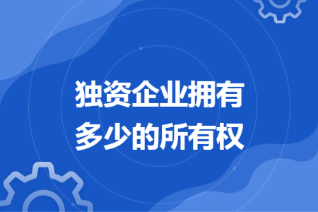 獨(dú)資企業(yè)擁有多少的所有權(quán)