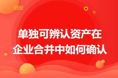 單獨可辨認(rèn)資產(chǎn)在企業(yè)合并中如何確認(rèn)