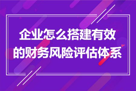 企業(yè)怎么搭建有效的財務(wù)風(fēng)險評估體系