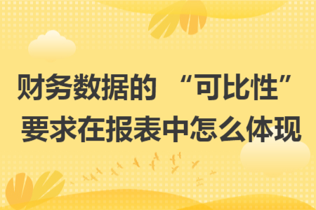 財(cái)務(wù)數(shù)據(jù)的 “可比性” 要求在報(bào)表中怎么體現(xiàn)